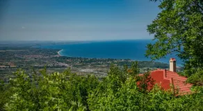 IMON Wellness - Image 5