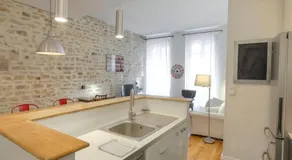 Bel appartement spacieux, climatisé - Lyon centre - Image 3