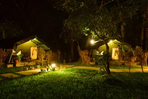 Monica Garden Bungalow - Image 4