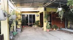 Paraiso Tropical - Image 5
