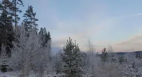 Romme Rum - Image 3