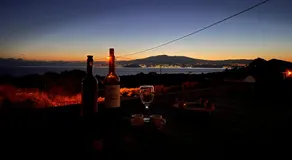 Rosa do Canto - Image 2