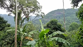 Baan Keree Thara - Image 4