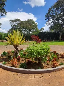 The Yala Home - Image 4