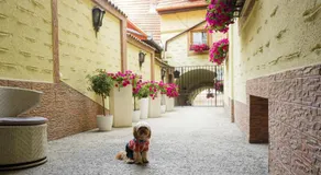 Hotel Claudiu - Image 3