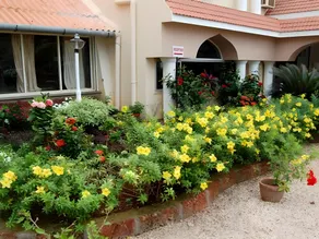Sea Shell Resort - Image 5