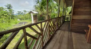 Rainforest Hut - Image 4