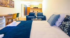 Modern Studio near Pirin Golf Bansko & Parking - Image 2