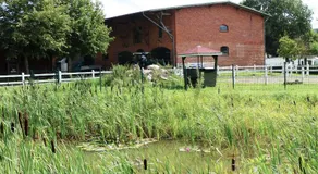 Hof Thomsen - Image 4