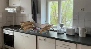 SparNest - Image 3