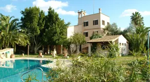Son Baulo - Image 2
