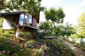BẢO UYÊN RETREAT - Image 3