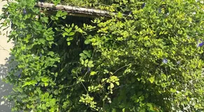 Exit 96 Farm Stay - Image 3
