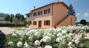 Tenuta Borgo al Sole - Image 5