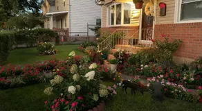Beautiful Room near JFK and close to LaGuardia Airports - Image 3
