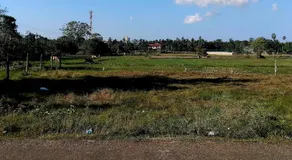 Mahishe Cottage - Image 4
