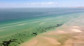 Beach Cottage. 100m to the beach 9minutes to Hot Springs. Pet Friendly - Image 4