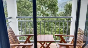 Tea Elanza - Image 3