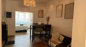 Modern apartment in Brussels, ground floor - Image 2