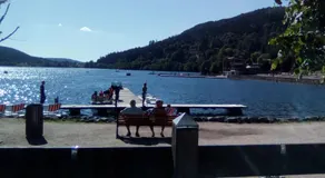 Le Trèfle d'Or - Image 3
