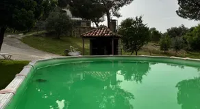 El Cerro del Pinar - Image 4