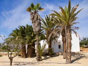 Finca La Veleta - Image 4