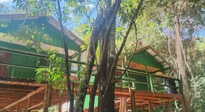 Mariana Monteiro - Image 5