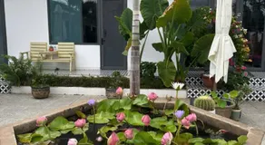 Mai Anh Đào Motel - Image 5