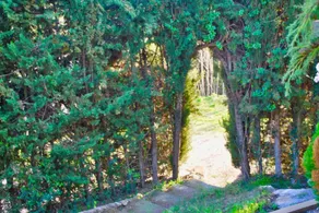 Mas Rosich - Image 3