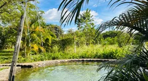 Finca Privada con Piscina Natural y ambiente ecologico cerca de Neiva - Image 4