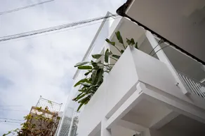 WhammyHouse - Image 4