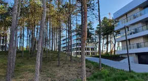 Apartamenty przy plaży Shellter - Image 3