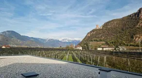 Pitla Cuna - Eco Relais - Image 5