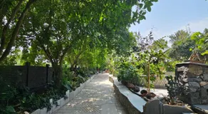 Aamara - Image 5