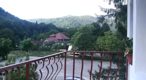 Pensiunea Costesti - Image 5