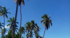 Casa da Dona Filhinha, paz e localização perfeita na vila da Praia do Forte BA - Image 5