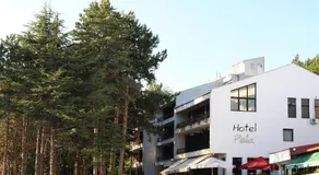 Hotel Pela - Image 5