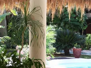 La Tortuga Hotel & Spa - Adults Only - Image 4