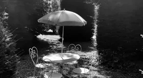 Par la Dives - Image 4