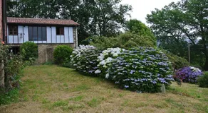 Hotel Rural El Algaire - Image 3