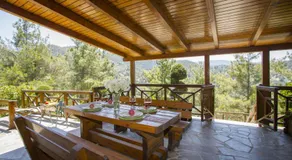Ricky Chalet Near Troodos - Image 3