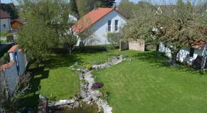 Delfinia - Image 5