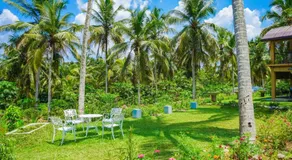 Amandawa Eco Farm Stay - Image 2