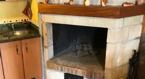 Calao de Cuatro Copas - Image 2