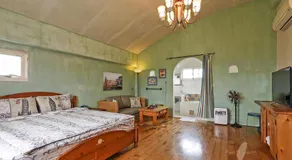 Remis villa - Image 2