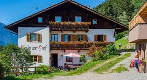 Lechnerhof Appartement Alpenrose - Image 4
