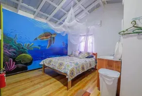 Mr. Ed's Adventures Belize - Image 2