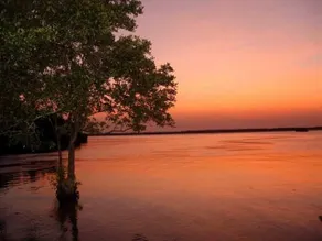 Can Gio Resort - Image 5