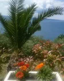 Apartment Đuro A5 Stanici, Riviera Omis - Image 2
