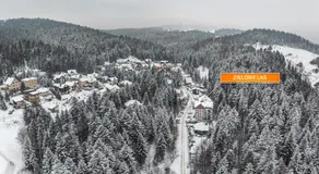 Sun & Snow, Zielony Las - Image 5